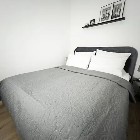 Wohlfuehl-oase Mitten In Der Stadt - Garten, Grill, Netflix Und Drucker Apartment Leipzig